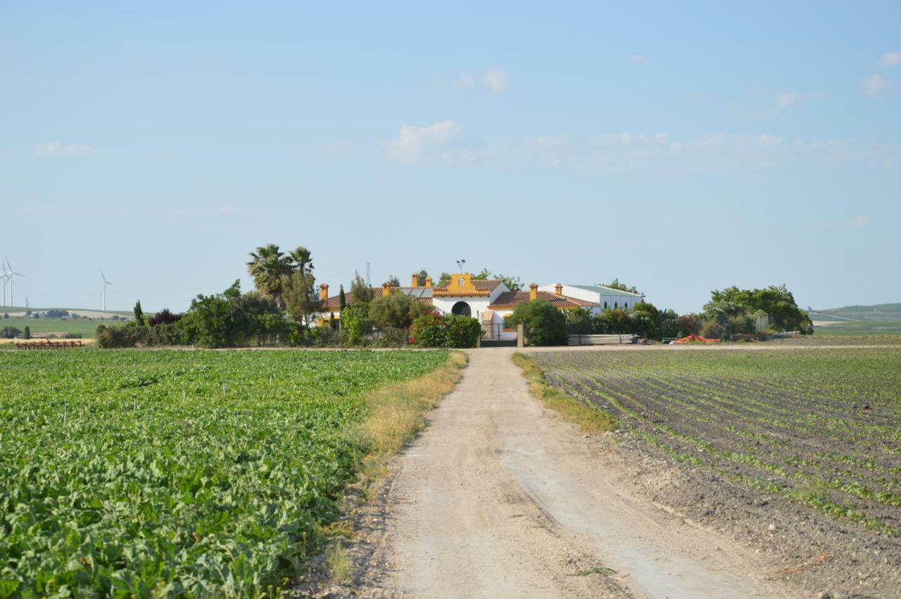 Cortijo Las Manoteras Эль-Пуэрто-де-Санта-Мария Экстерьер фото